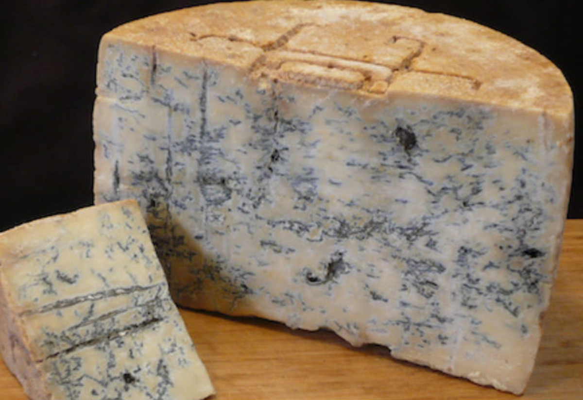 Gorgonzola Tarifi