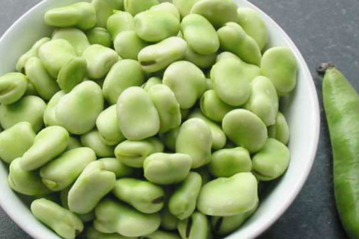 Bakla
