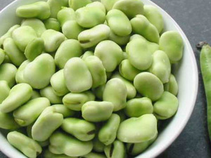 Bakla