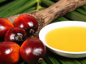 Palm Yağı