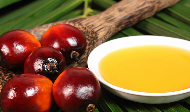 Palm Yağı