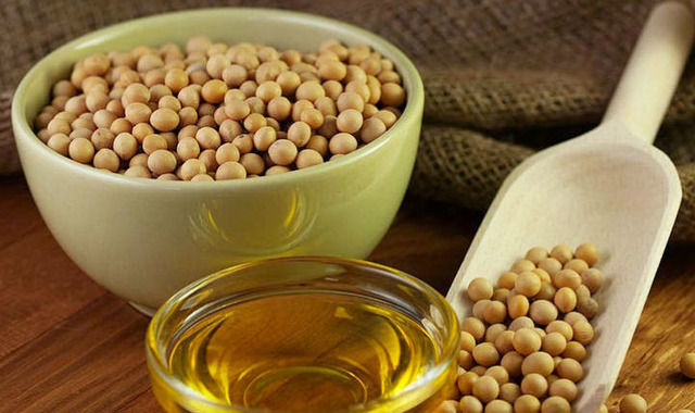 Soya Yağı