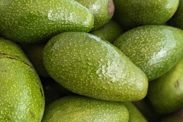 Bebek Avokado