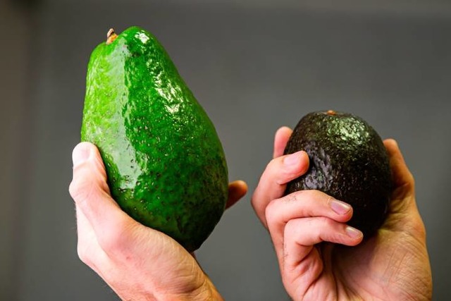 Bebek Avokado