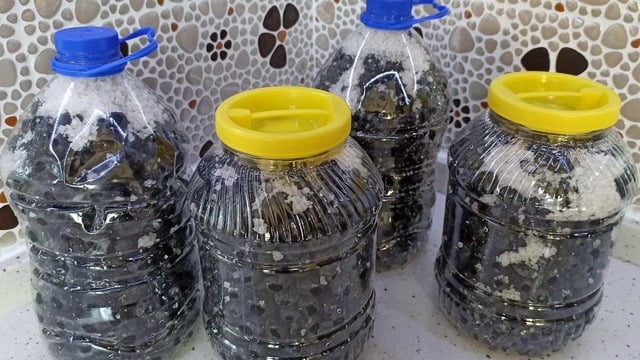 Birkaç Kolay Adımla: Siyah Zeytin Nasıl Yapılır ve Saklanır?