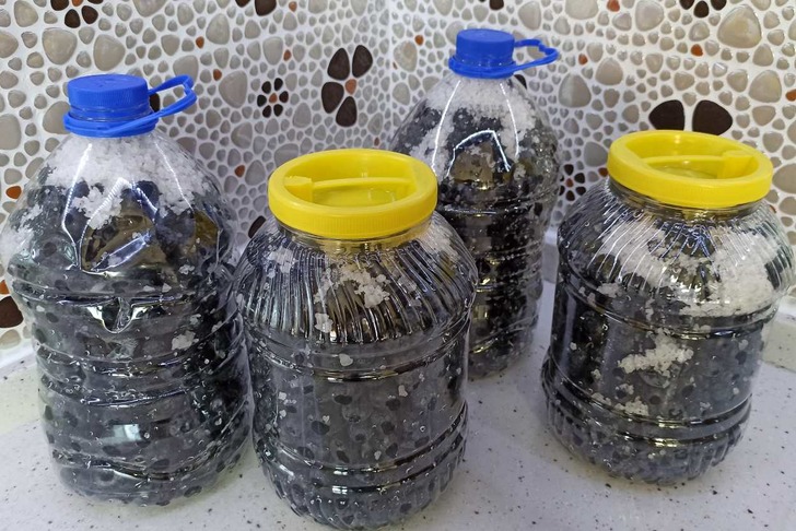 Siyah zeytin nasıl saklanır?