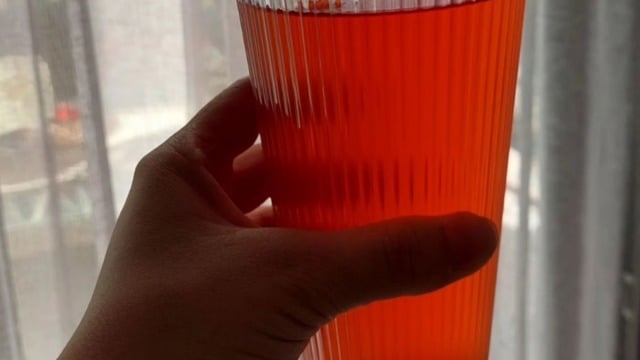 Taze Meyvelerle: Kraliçe Kompostosu