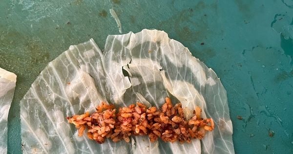 kelem-dolmasi-asama7