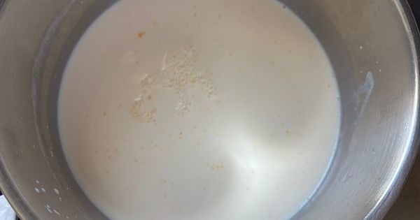 cilekli-muzlu-magnolia-asama2