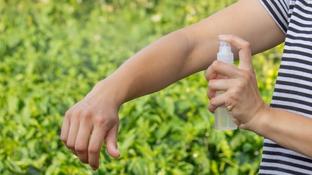 Sivrisinek Neye Gelmez? Sivrisinekleri Uzak Tutmanın Doğal Yolları