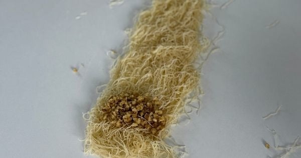 kadayif-sarma-asama2