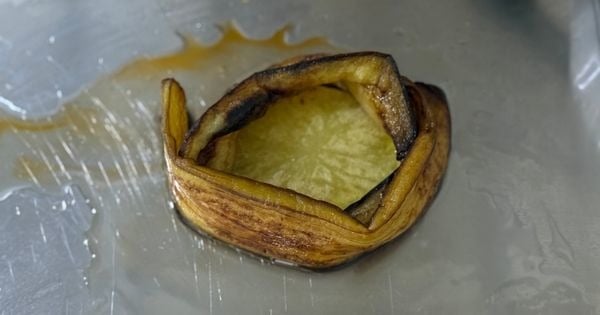 canak-patlican-asama5