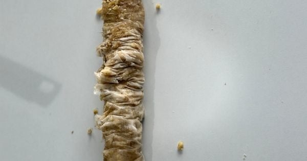 hazir-yufkadan-burma-baklava-asama3