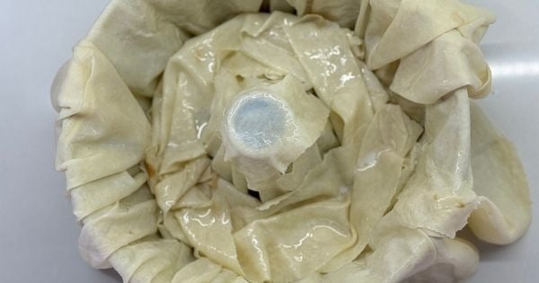 kek-kalibinda-borek-asama2