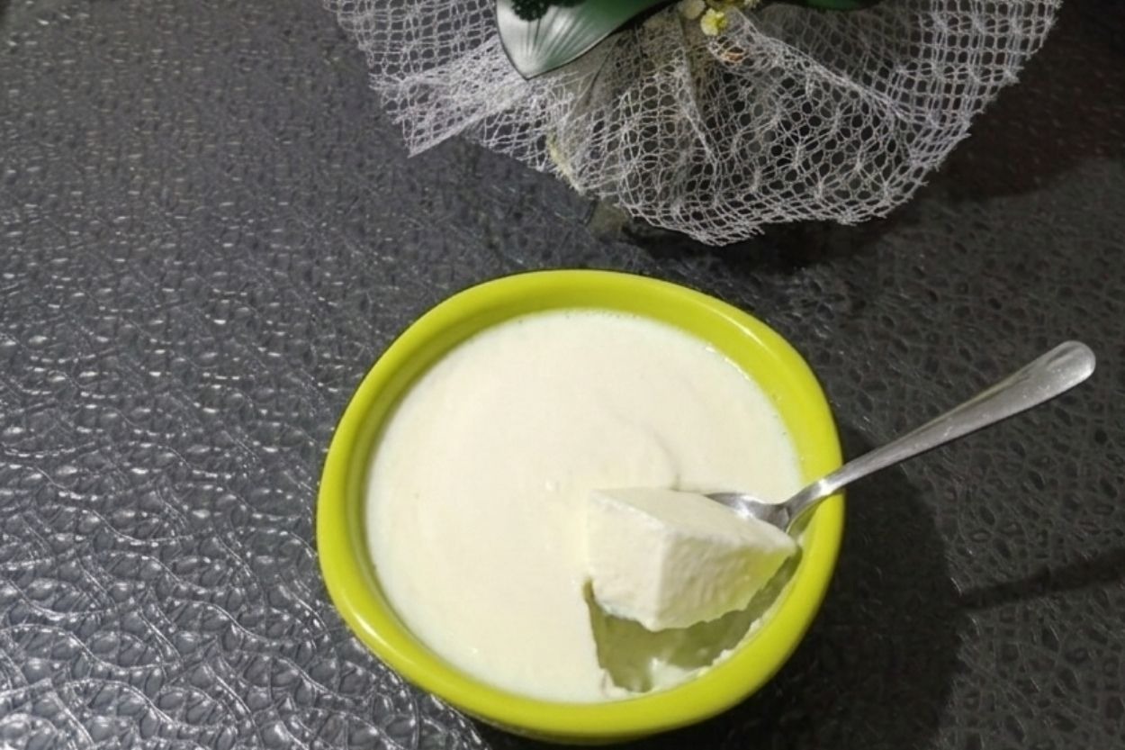 Eliz'in Tarifi: Köy Sütünden Ev Yoğurdu