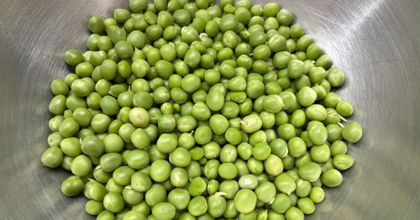 sade-bezelye-yemegi-asama1