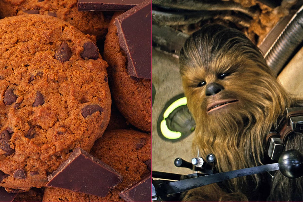 Chewbacca'nın da Favorisi: Wookie Cookie