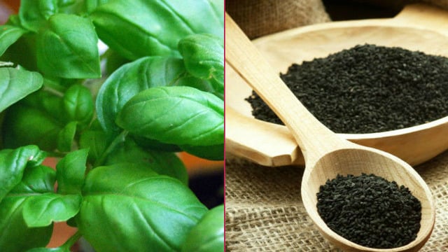 Tükettiğinizde Yeni Yılı Hasta Geçirmeyeceğiniz Doğal Antibiyotik Etkili 10 Yiyecek