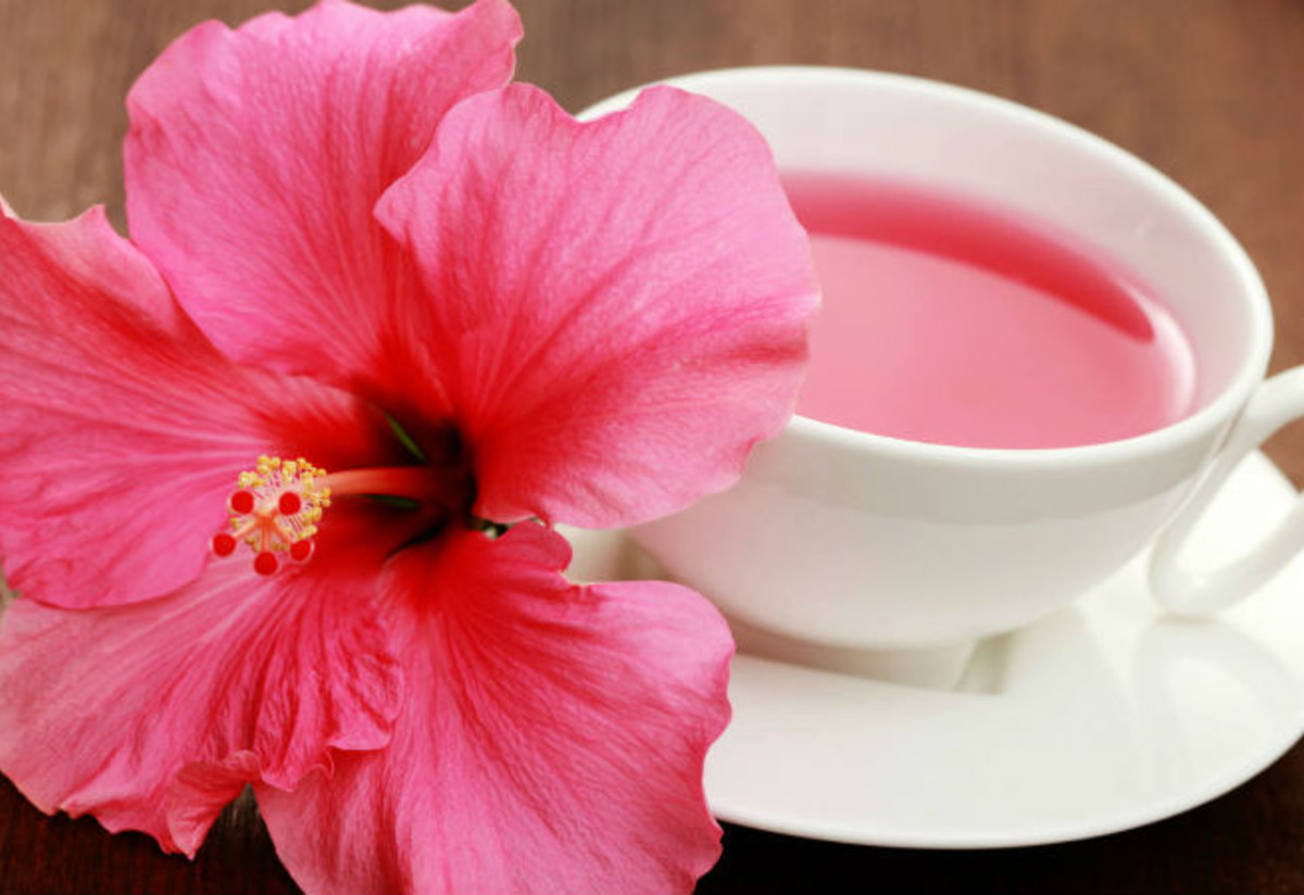 Hibiskus çayı Tarifi