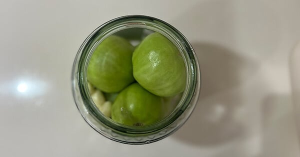 yesil-domates-tursusu-asama-2
