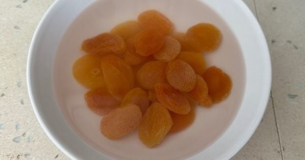 kayisi-uyutmasi-asama2