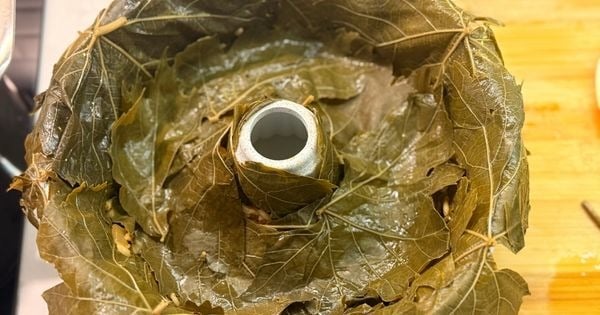 kek-kalibinda-zeytinyagli-yaprak-sarmasi-asama6