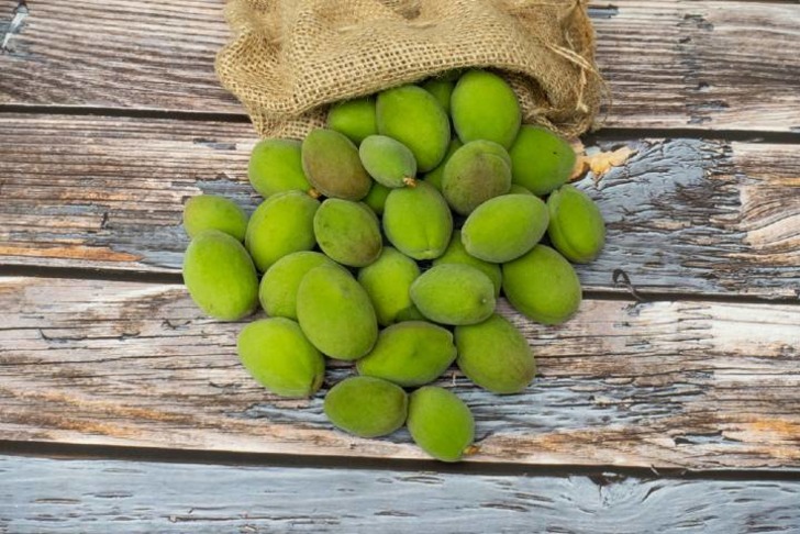 Çağla