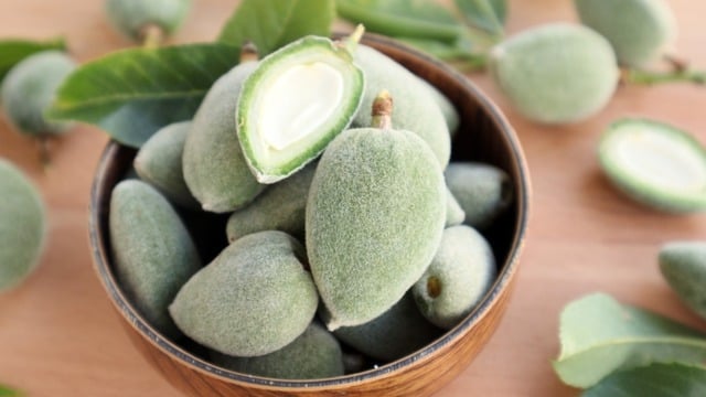Çağla Nedir, Nasıl Tüketilir? Faydaları ve Tüketim Önerileri