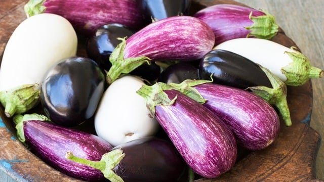 Patlıcan Çeşitleri Nelerdir? Özellikleri ve Kullanım Alanları