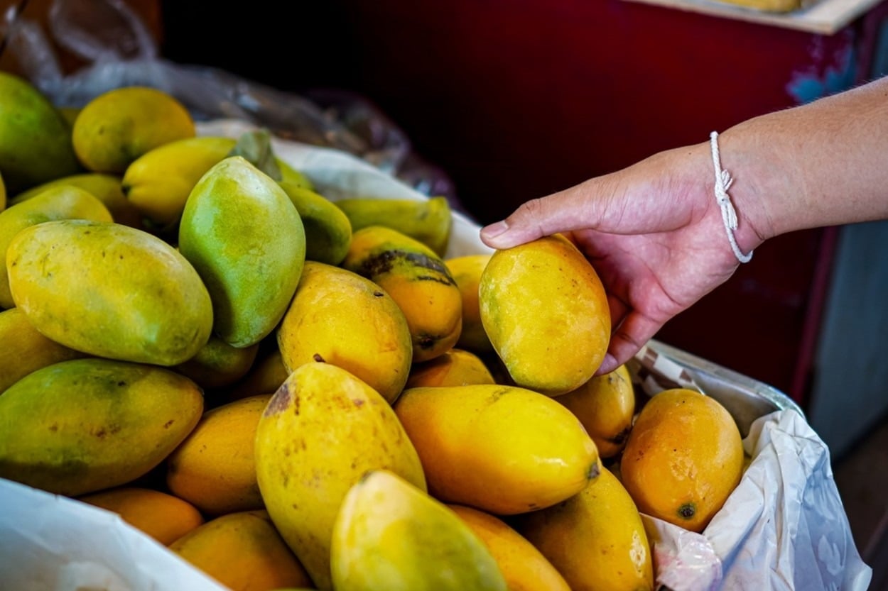 Mango Nasıl Seçilir? İyi Mango Nasıl Anlaşılır?