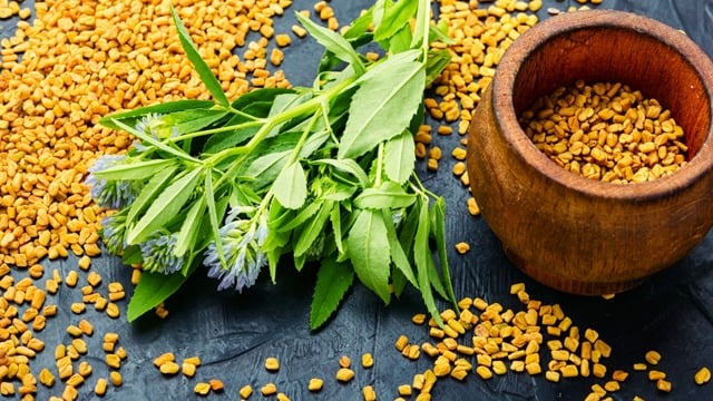 Çemen Otu Nedir? Faydaları Nelerdir, Nasıl Kullanılır?
