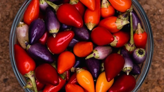 Süs Biberi (Cin Biber) Nedir? Nasıl Yenir? 