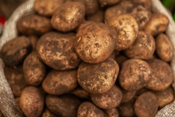 patates saklama shutter