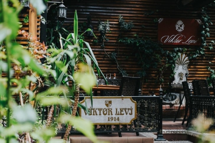 Viktor Levi