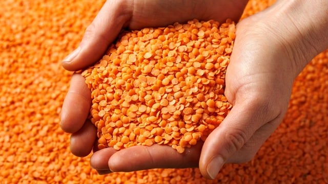 Yaprak Mercimek Nedir? Nasıl Pişirilir ve Nerelerde Kullanılır?