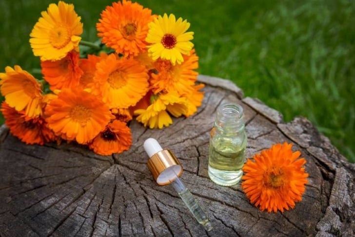 aynisefa-yagi-shutter1