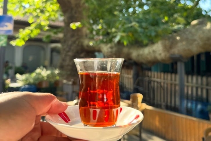 Tarihi Çınaraltı Çay Bahçesi
