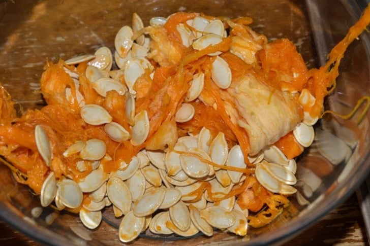 Kabak Çekirdegi Kavurma Shutter (1)