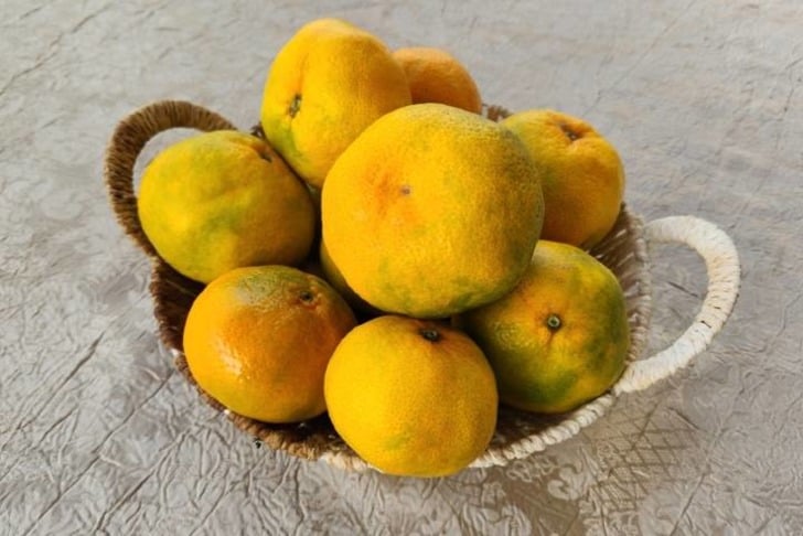 satsuma-shutter2