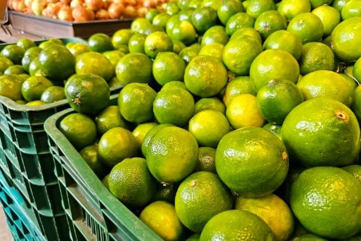 limon-olgunlastirma-shutter