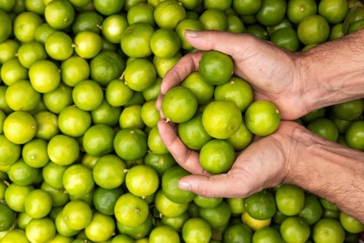 limon-olgunlastirma-shutter1