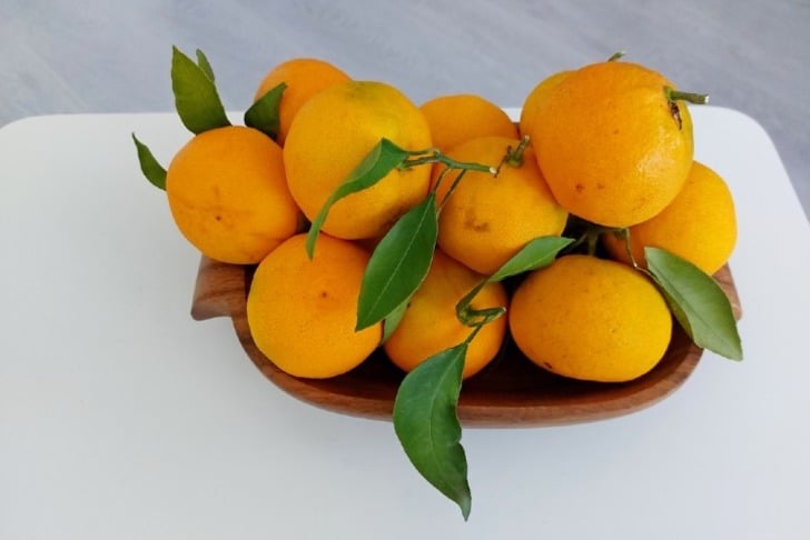 mandalina-yapragi-shutter