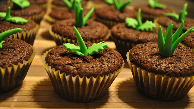 Yemeye Kıyamayacağınız Ama Yemeden de Duramayacağınız 16 Minnoş Cupcake