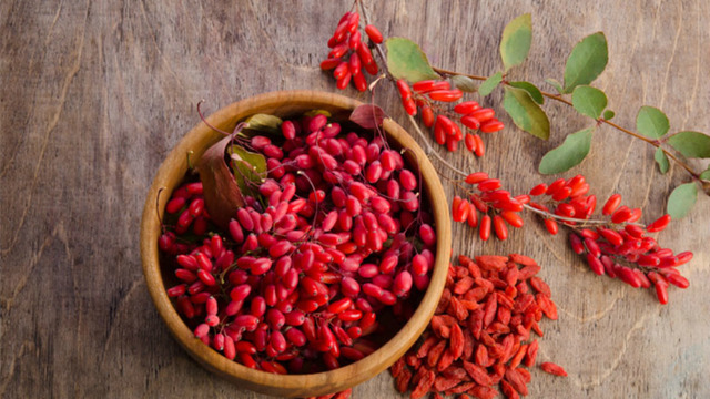 Bağışıklığı Güçlendirirken Kolesterolü de Dengeleyen Sağlık Dolu Meyve: Goji Berry