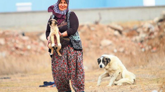 Güzel İnsanlar Hala Var: Hayatını Sokak Hayvanlarını Doyurmaya Adayan Rukiye Teyze