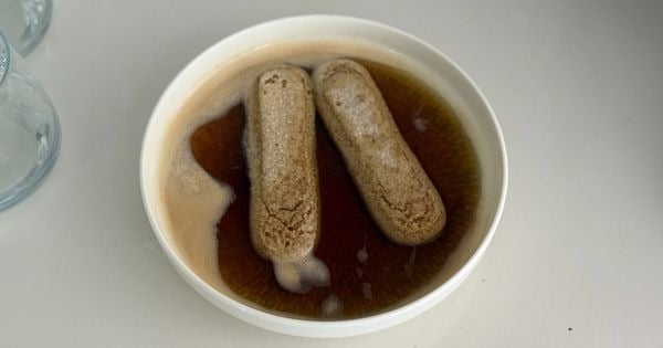 bardakta-tiramisu-asama3