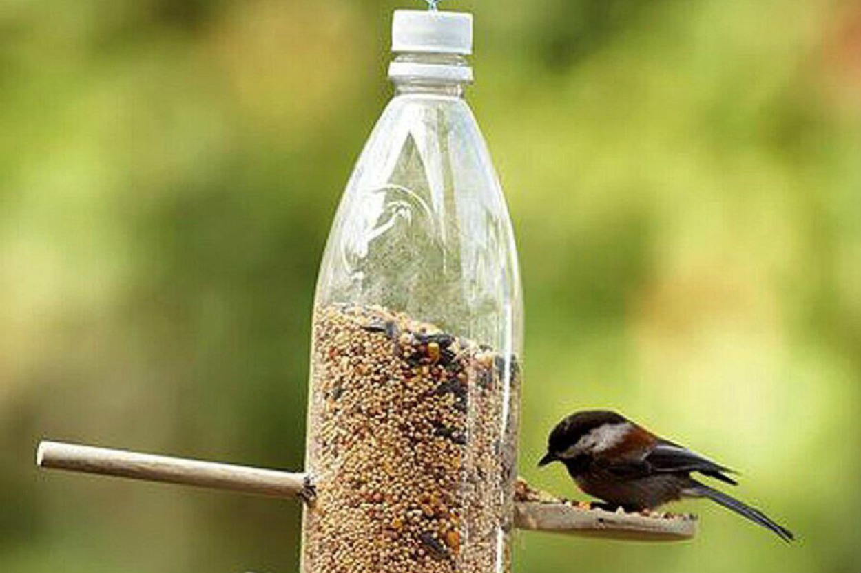 Plastik Şişelerin Nefis Eserlere Dönüşebildiğinin Kanıtı 16 İlhamı Bol Çalışma