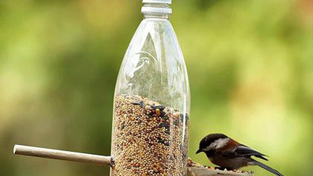 Plastik Şişelerin Nefis Eserlere Dönüşebildiğinin Kanıtı 16 İlhamı Bol Çalışma