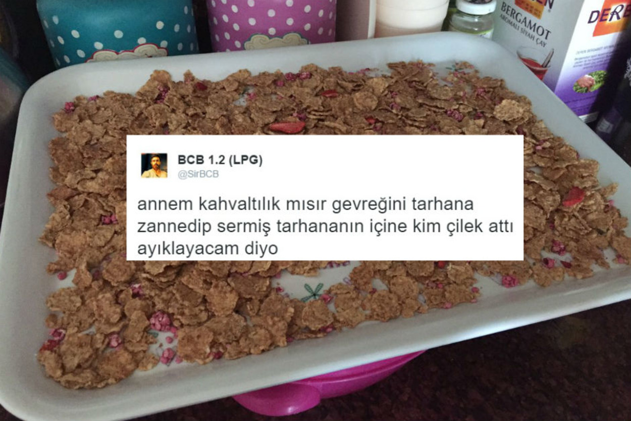 Annelerimizi Anlamak İçin Kırk Fırın Ekmek Yememiz Gerektiğinin 12 Gerçek Kanıtı