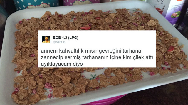 Annelerimizi Anlamak İçin Kırk Fırın Ekmek Yememiz Gerektiğinin 12 Gerçek Kanıtı